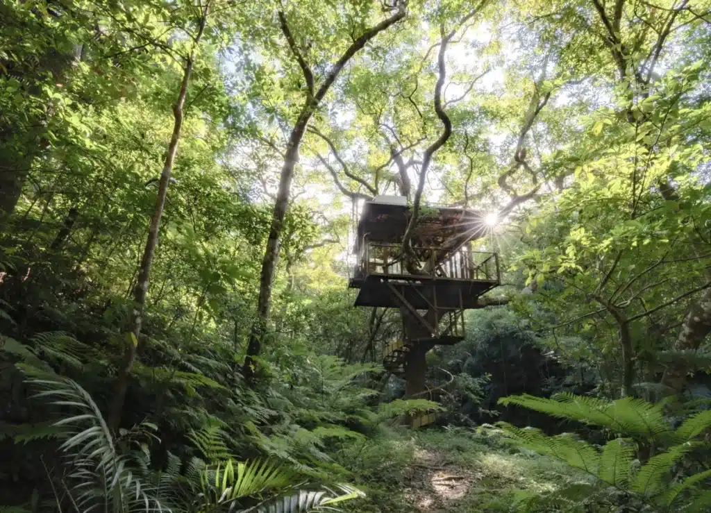 A treehouse in a Japenese jungle.